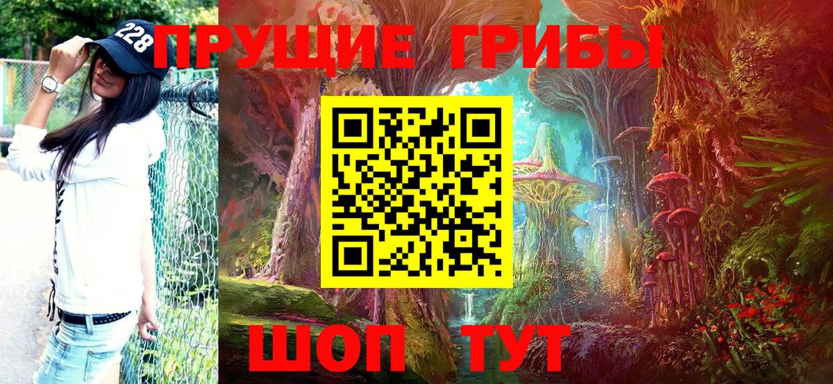 Новый Уренгой  Псилоцибиновые грибы мицелий  Вход с VPN 